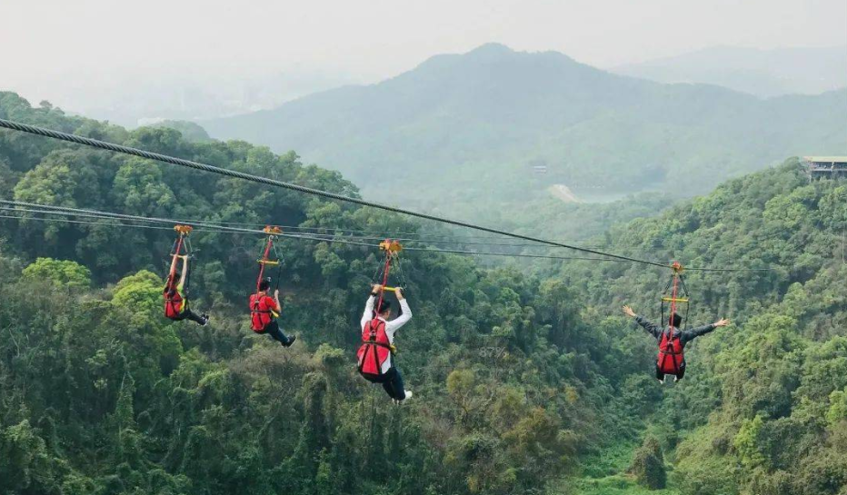 適合森林公園的游樂項目叢林滑索——簡單好玩，成本還低
